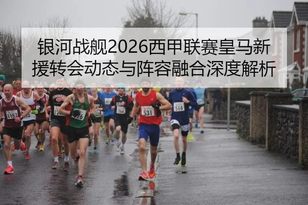 银河战舰2026西甲联赛皇马新援转会动态与阵容融合深度解析